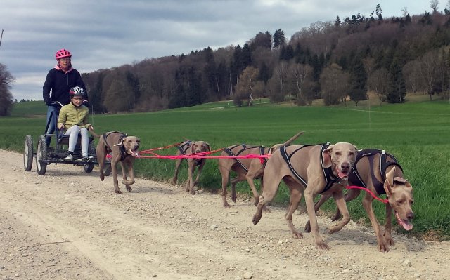 Ferienpass Mühlheim 2018 in Pfyn